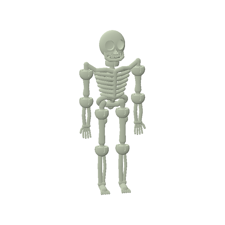 Squelette articulé phosphorescent, 15 cm